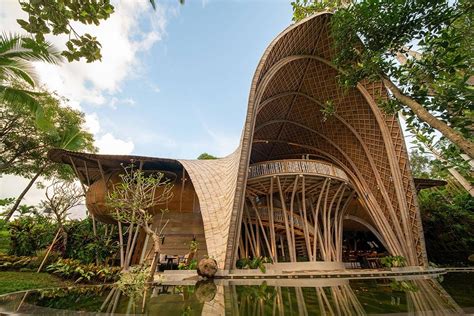  Bamboo: Rethinking Construction with Nature's Wonder Material!